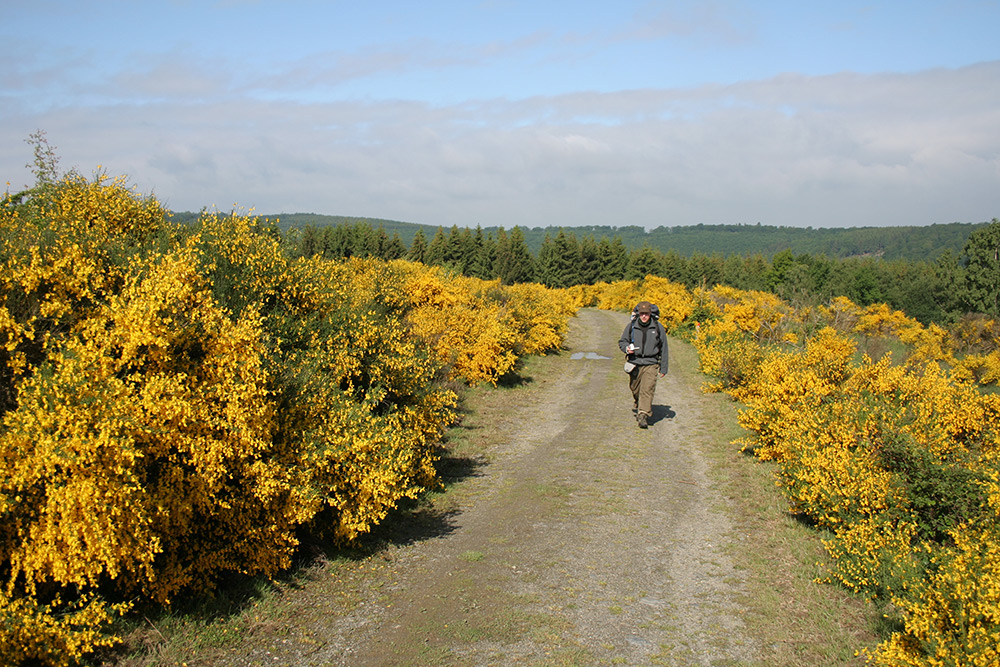 © Nationalpark-Eifel