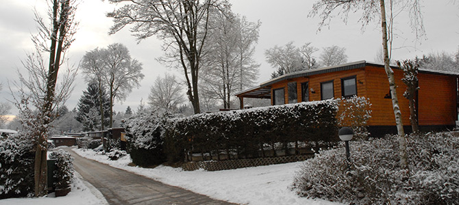 Eine schneebedeckte Wohnstraße mit einem Holzhaus, Bäumen und Sträuchern unter einem bewölkten Winterhimmel.