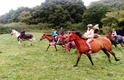 © Eifelcentrum-Reitstall