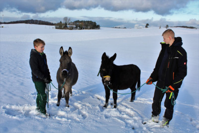 © Reitanlage Lindenhof