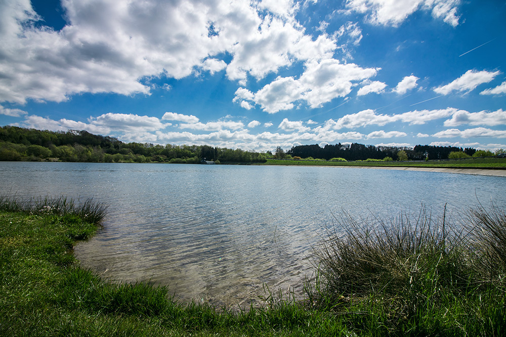 Ein ruhiger See mit klarem Wasser ist umgeben von grünem Gras und Bäumen unter einem teilweise bewölkten Himmel, durch den das Sonnenlicht fällt.