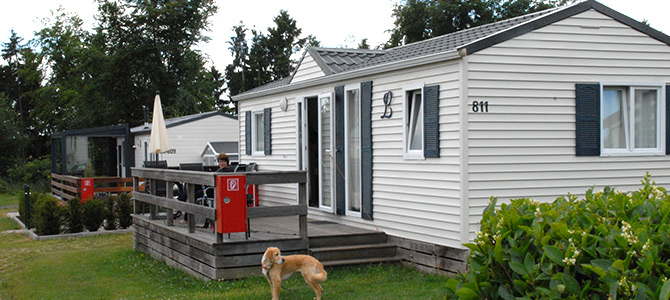 Een beige stacaravan met donkere luiken en een houten dek, een rode brandblusserbox en een gebruinde hond die voor op het gras staat. Struiken en bomen staan op de achtergrond.