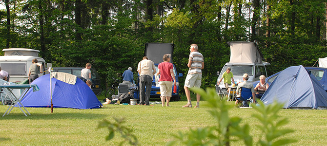 Auf einem von Bäumen umgebenen, grasbewachsenen Campingplatz sind Menschen um Zelte und Wohnmobile versammelt, die Campingausrüstung und Tische sind aufgestellt.