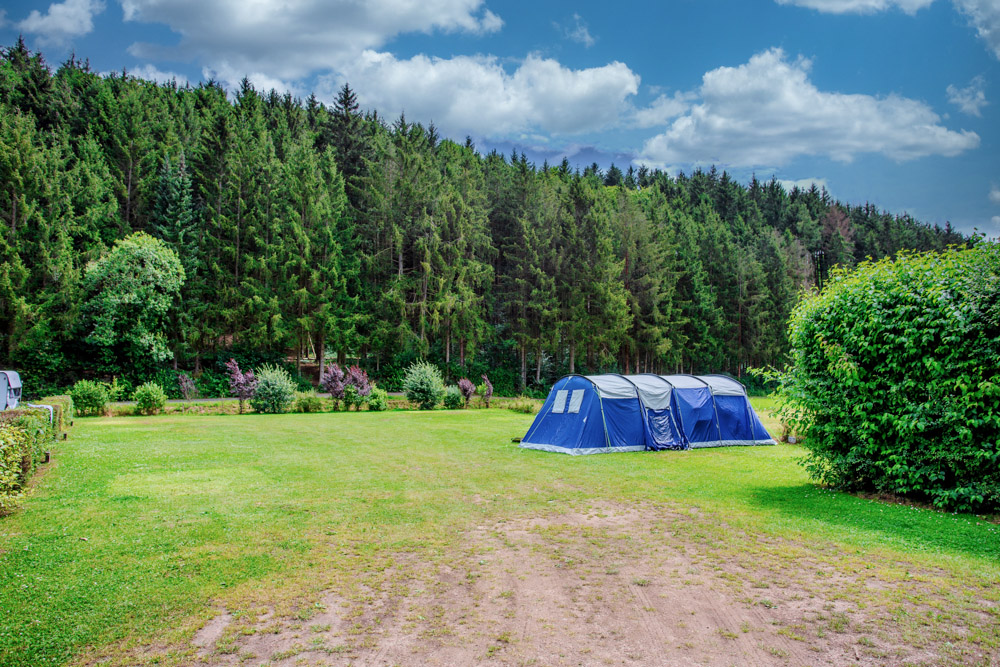Ein großes blaues Zelt ist auf einer Wiese in der Nähe eines dichten Waldes unter einem teilweise bewölkten Himmel aufgebaut.