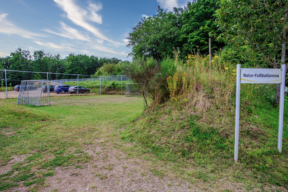 Ein grasbewachsener Fußballplatz mit einem Torpfosten, parkenden Autos im Hintergrund, Bäumen am Rand und einem Schild mit der Aufschrift Natur-Fußballarena auf der rechten Seite.