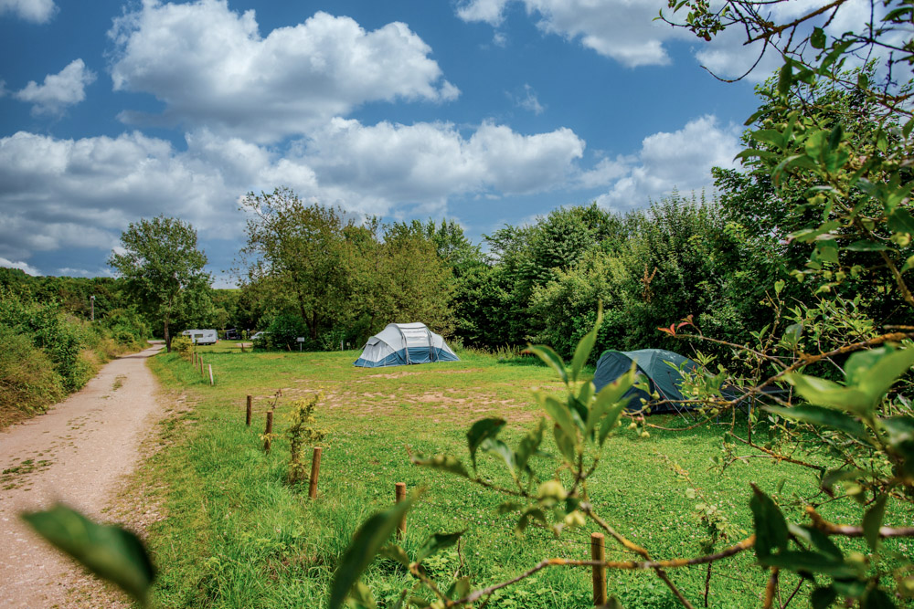 Ein grasbewachsener Campingplatz mit zwei Zelten an einem unbefestigten Weg, umgeben von Bäumen und Sträuchern unter einem teilweise bewölkten Himmel.