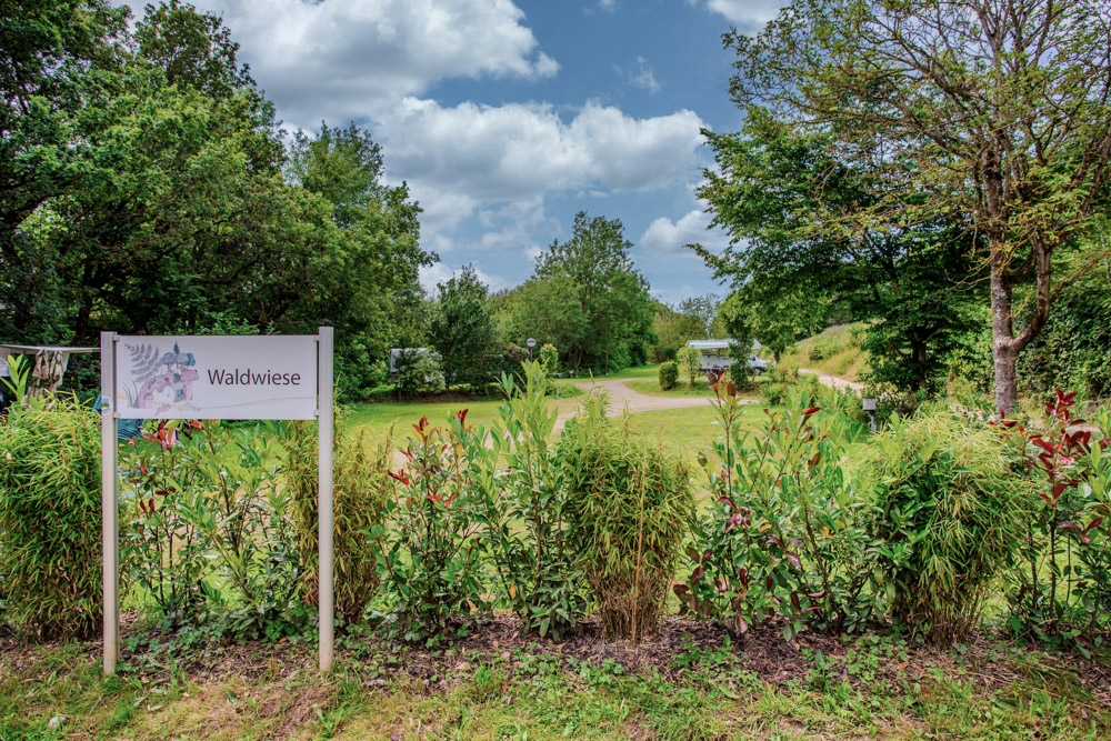 Eine Wiese mit der Bezeichnung Waldwiese, gesäumt von Pflanzen und Bäumen, mit einem Weg, der sich unter einem teilweise bewölkten Himmel durch eine grüne Landschaft schlängelt.