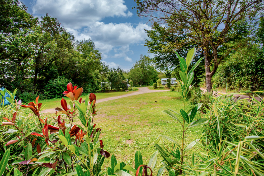 Ein grasbewachsener Weg schlängelt sich durch einen grünen, belaubten Park mit vereinzelten Bäumen und Sträuchern unter einem teilweise bewölkten Himmel.