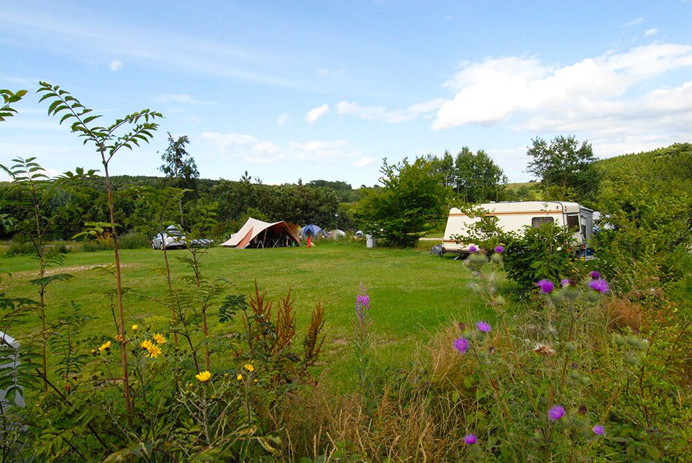 Ein grasbewachsener Campingplatz mit einem Zelt, einem Wohnwagen und verstreuten Wildblumen im Vordergrund, umgeben von Bäumen unter einem teilweise bewölkten Himmel.