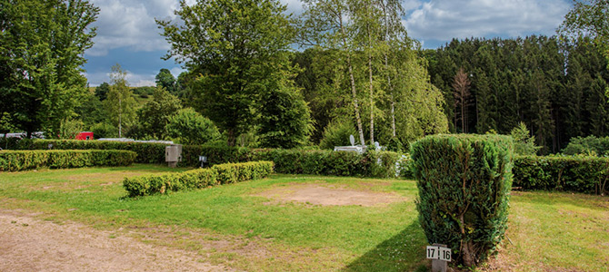 Ein leerer, grasbewachsener Campingplatz, umgeben von gestutzten Hecken und Bäumen, mit einem Waldgebiet im Hintergrund und einem teilweise bewölkten Himmel darüber.
