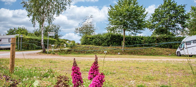 Ein Campingplatz mit Grasflächen, blühenden Pflanzen im Vordergrund, einem Feldweg, Hecken, Bäumen und zwei Wohnmobilen unter einem blauen Himmel mit Wolken.