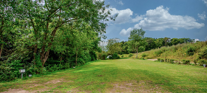 Ein grasbewachsenes, offenes Feld, gesäumt von Bäumen und Sträuchern, unter einem blauen Himmel mit vereinzelten Wolken.
