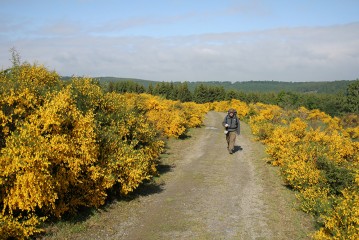 © Nationalpark-Eifel