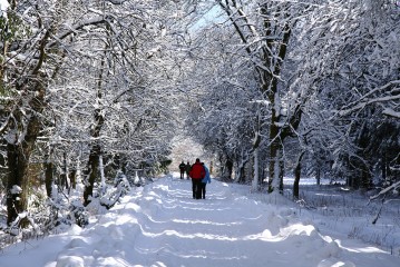 © Nationalpark-Eifel