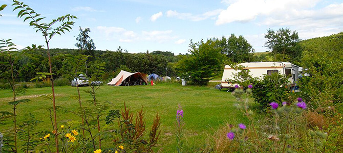 Een grascamping met een tent en een caravan omringd door bomen en wilde bloemen onder een gedeeltelijk bewolkte hemel.